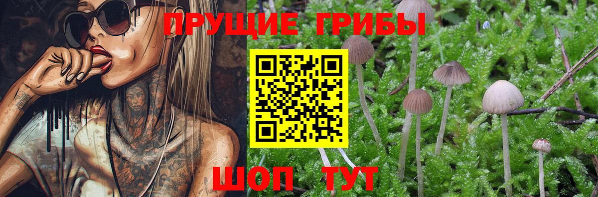 Галлюциногенные грибы мухоморы Кимовск